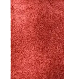Moderné koberce Koberec Shaggy Harmony Mono 1,4/1,9 PC00A HRR77