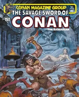 Beletria - ostatné The Savage Sword Of Conan: The Original Comics Omnibus - Alfredo Alcala,Michael Fleisher,John Buscema,Christopher Priestly