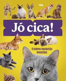 Mačky Jó cica!