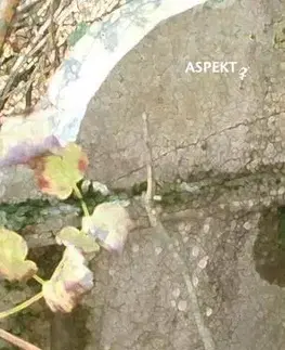Slovenská beletria Nevybavená záležitosť - Jana Juráňová