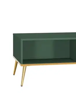 Konferenčné stolíky ArtMLM Konferenčný stolík JUNGLE 07