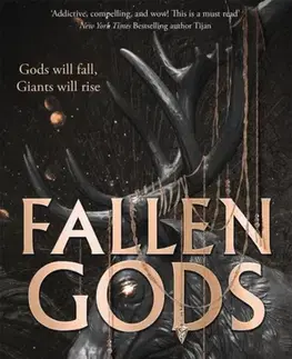 Sci-fi a fantasy Fallen Gods - Dyken van Rachel
