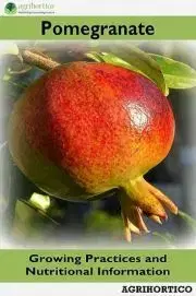 Hobby - ostatné Pomegranate