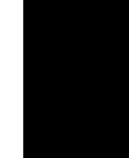 Kuchynské potreby WENKO 53881100 - Zástena BLACK 60x70 cm čierna 53881100