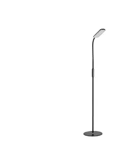 Lampy  LED Stmievateľná stojacia lampa TEILO LED/10W/230V 3000/4000/6500K čierna + DO 004030
