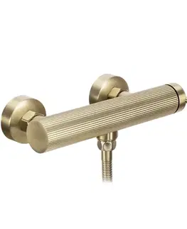 Kúpeľňové batérie REA - Sprchová batéria Argon BRUSH GOLD REA-B7806