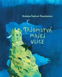 Slovenská beletria Tajomstvá mojej ulice - Kristína Šudová-Tomčániová