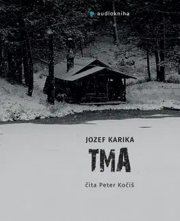 Detektívky, trilery, horory Publixing Ltd Tma - audiokniha