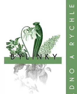 Prírodná lekáreň, bylinky Bylinky - snadno a rychle - Marlene Houghton
