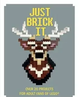 Cudzojazyčná literatúra Just Brick it Over 20 Projects for Adult Fans of Lego - David Scarfe