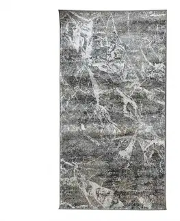 Moderné koberce Koberec Lavi 0,8/1,5 C234X 76UF2 sivý