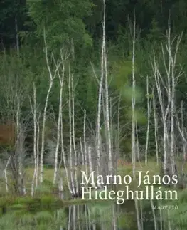 Svetová beletria Hideghullám - Marno János