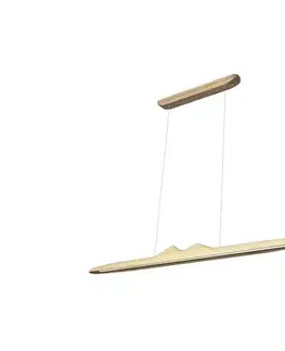 Svietidlá  LED Luster na lanku LED/22W/230V 4000K 120 cm jaseň/masív WRL0921