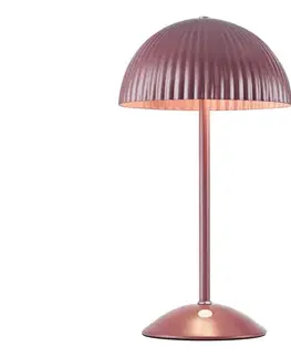 Lampy Markslöjd 109142 - Stolná lampa ZIN 2xG9/20W/230V ružová 109142