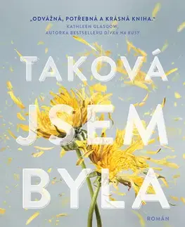 Young adults Taková jsem byla - Amber Smith