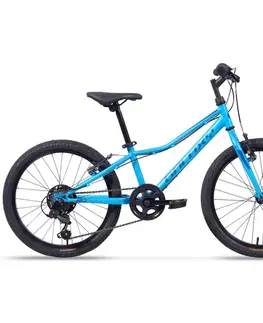 Bicykle Galaxy Neptun 20" 2025 strieborná - 10" (113-135 cm)