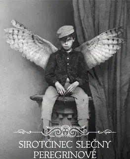 Sci-fi a fantasy Sirotčinec slečny Peregrinové 3: Knihovna duší - Ransom Riggs