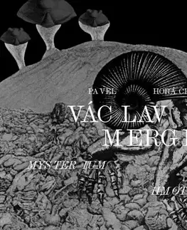 Architektúra Václav Mergl – Mysterium hmoty - Pavel Horáček