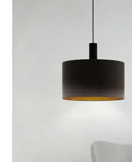 Svietidlá Eglo 97682 - Luster na lanku CONCESSA 1 1xE27/60W/230V 380 mm 97682