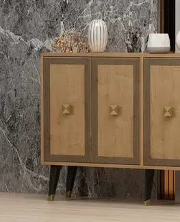 Komody Konzolový stolík Ansel - Sapphire Oak, Gold