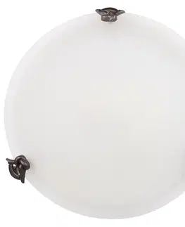Stropná svetla Stropné nástenné svietidlo sklo 60W E27 40cm Eva