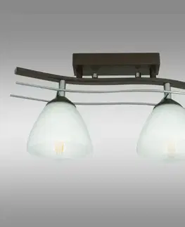 Lampy do obývačky Lampa Agat Plus 2337 LW2