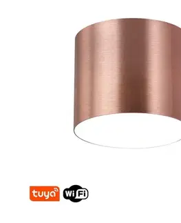 Svietidlá  NEO 07320L - LED stmievateľné stropné svietidlo RONDATE 32W/230V 16,5 cm Wi-Fi Tuya ružové 07320L