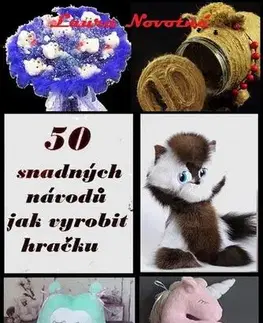 Remeslá, dielňa, drotárstvo, košíkárstvo,... 50 snadných návodů jak vyrobit hračku - Laura Novotná
