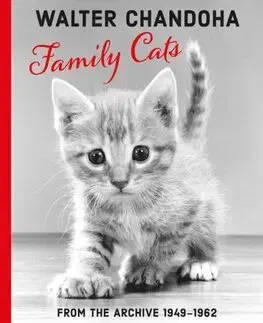 Fotografia Walter Chandoha: Family Cats From the Archive 1949-1962 - Walter Chandoha