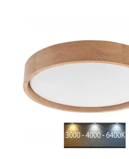 Svietidlá BRILAGI - LED Stmievateľné stropné svietidlo MANAROLA LED/24W/230V dub + DO 