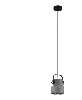 Svietidlá Eglo 39854 - Závesné svietidlo HILCOTT na lanku 1xE27/40W/230V 39854