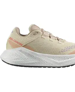Cesta Salomon Aero Glide 3 GRVL W Veľkosť: 38 EUR