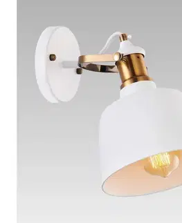 Svietidlá Prezent  - Nástenné svietidlo FAMOSA 1x27/40W/230V 