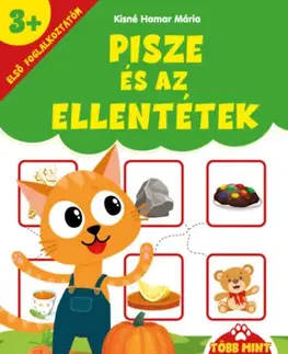 Nalepovačky, vystrihovačky, skladačky Pisze és az ellentétek - Első foglalkoztatóm - több mint 60 db matricával - 3 éves kortól - Mária Kisné Hamar