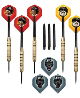 Šípky Šípky Shot Duel Brass Plated Value Range steel 6ks 18 g
