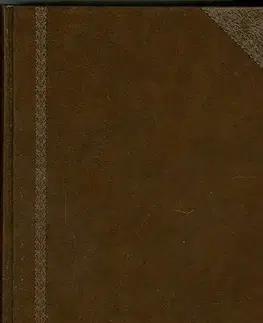 Literárna veda, jazykoveda Ottův slovník naučný VII. - Kolektív autorov