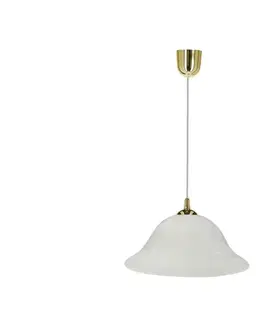 Svietidlá  Luster na lanku VERA 1xE27/60W/230V zlatá/biela 31-24565