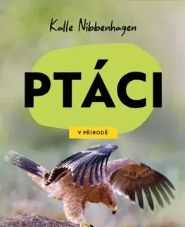 Biológia, fauna a flóra V přírodě - Ptáci - Kalle Nibbenhagen