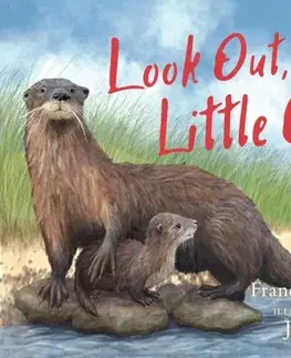 Leporelá, krabičky, puzzle knihy Look Out, Little Otter - Joanna Weaverová