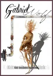 Detektívky, trilery, horory Két testben ép lélek - Wolf Gabriel