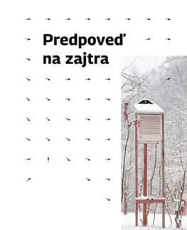 Romantická beletria Predpoveď na zajtra - Silvester Lavrík
