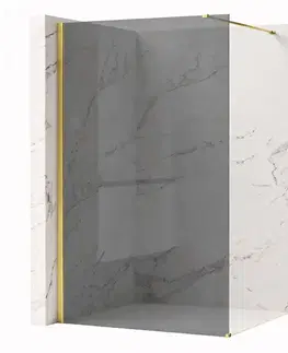 Sprchové dvere REA/S - Sprchová zástena Flexi Grey / Gold 80 KPL-K99786