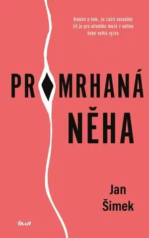 Česká beletria Promrhaná něha - Jan Šimek