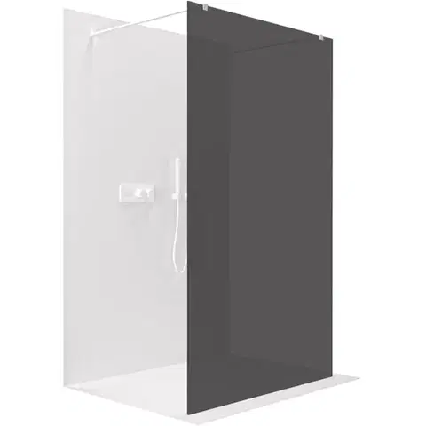 Sprchové dvere CERANO - Sprchová zástena Walk-in Onyx Duo Ľ/P - 8 mm - hranatá vzpera - biela matná, grafitové sklo - 50x200 CER-8050BD1780