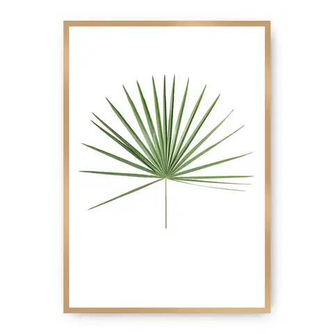 Obrazy Plagát Tropical Leaf Green