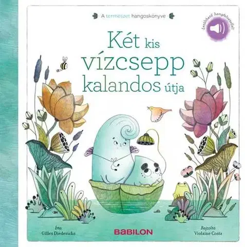 Rozprávky Két kis vízcsepp kalandos útja - A természet hangoskönyve - Gilles Diederichs,Orsolya Fenyvesi