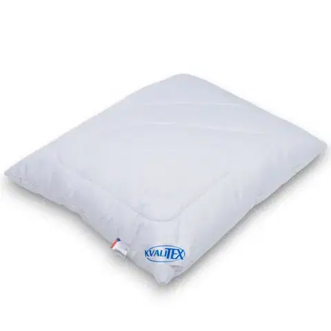 Vankúše Kvalitex Vankúš Aloe Vera so zipsom, 70 × 90 cm, 900 g