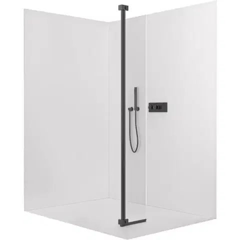 Sprchovacie kúty CERANO - Prídavný otočný panel k sprchovej zástene Onyx - 8 mm - čierna matná, transparentné sklo - 30x200 CER-537352