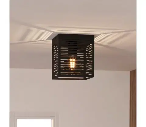 Svietidlá Eglo 900355 - Stropné svietidlo PIEDRITAS 1xE27/40W/230V 900355