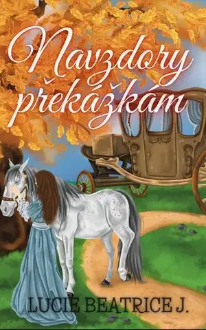 Romantická beletria Navzdory překážkám - Lucie Beatrice J.